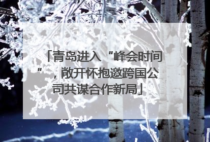 青岛进入“峰会时间”，敞开怀抱邀跨国公司共谋合作新局