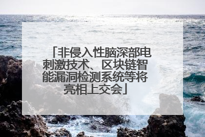 非侵入性脑深部电刺激技术、区块链智能漏洞检测系统等将亮相上交会