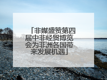 非媒盛赞第四届中非经贸博览会为非洲各国带来发展机遇