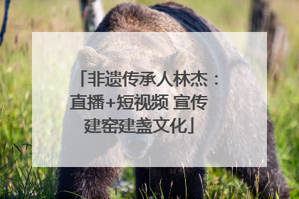 非遗传承人林杰：直播+短视频 宣传建窑建盏文化