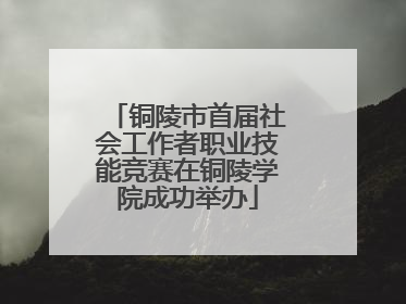铜陵市首届社会工作者职业技能竞赛在铜陵学院成功举办