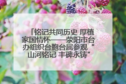 铭记共同历史 厚植家国情怀——荥阳市台办组织台胞台属参观“山河铭记 丰碑永铸”抗战胜利图片展
