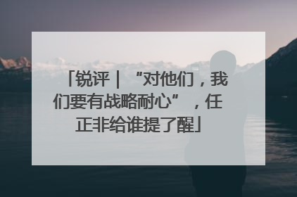 锐评｜“对他们，我们要有战略耐心”，任正非给谁提了醒