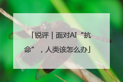 锐评｜面对AI“抗命”，人类该怎么办