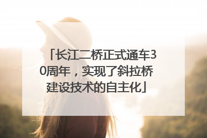 长江二桥正式通车30周年，实现了斜拉桥建设技术的自主化