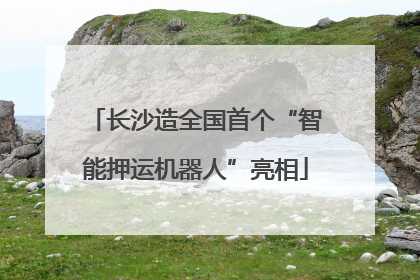 长沙造全国首个“智能押运机器人”亮相