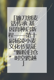 镰刀割麦话传承 基因育种启新程——第十届杨凌小麦文化节见证“颗粒归仓”时空跨越