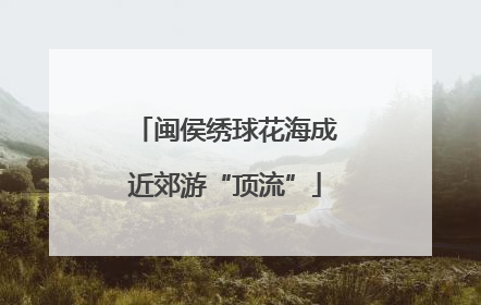 闽侯绣球花海成近郊游“顶流”