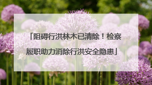 阻碍行洪林木已清除！检察履职助力消除行洪安全隐患