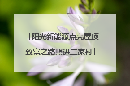 阳光新能源点亮屋顶 致富之路照进三家村