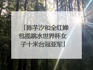 陈芋汐和全红婵包揽跳水世界杯女子十米台冠亚军