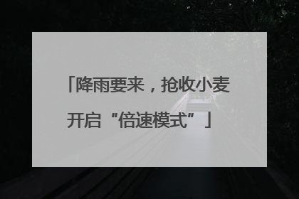 降雨要来，抢收小麦开启“倍速模式”