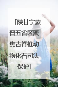 陕甘宁蒙晋五省区聚焦古脊椎动物化石司法保护