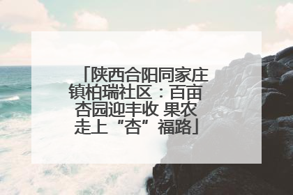 陕西合阳同家庄镇柏瑞社区：百亩杏园迎丰收 果农走上“杏”福路