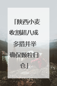 陕西小麦收割超八成 多措并举确保颗粒归仓