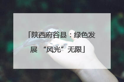 陕西府谷县：绿色发展 “风光”无限
