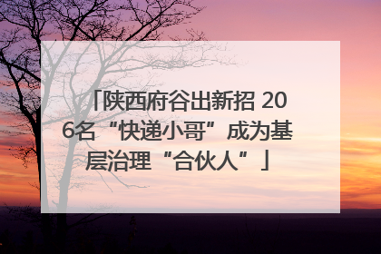 陕西府谷出新招 206名“快递小哥”成为基层治理“合伙人”