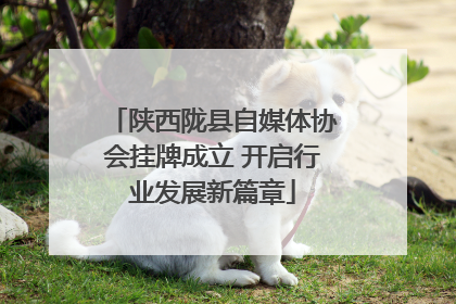 陕西陇县自媒体协会挂牌成立 开启行业发展新篇章