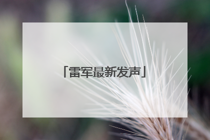 雷军最新发声