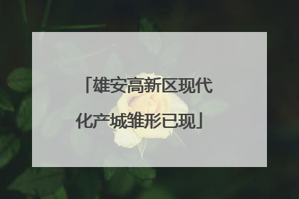 雄安高新区现代化产城雏形已现