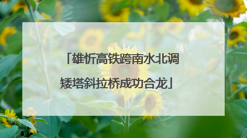 雄忻高铁跨南水北调矮塔斜拉桥成功合龙