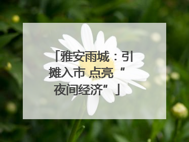 雅安雨城：引摊入市 点亮“夜间经济”