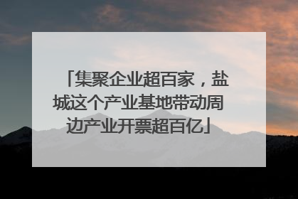 集聚企业超百家，盐城这个产业基地带动周边产业开票超百亿