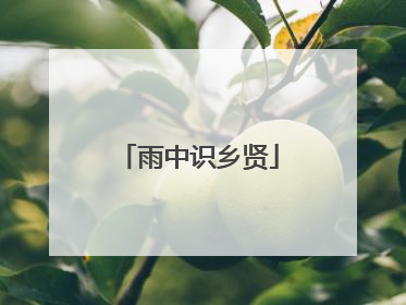 雨中识乡贤