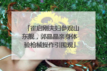 霍启刚夫妇参观山东舰，郭晶晶亲身体验枪械操作引围观