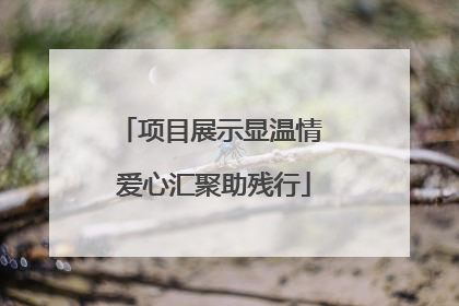 项目展示显温情 爱心汇聚助残行