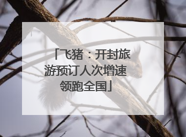 飞猪：开封旅游预订人次增速领跑全国