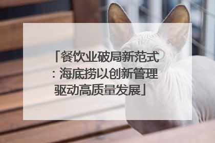 餐饮业破局新范式：海底捞以创新管理驱动高质量发展