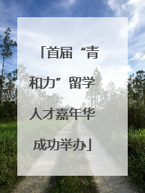 首届“青和力”留学人才嘉年华成功举办