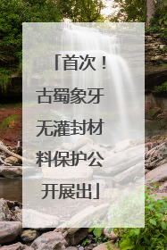 首次！古蜀象牙无灌封材料保护公开展出