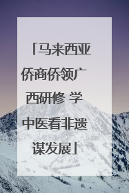 马来西亚侨商侨领广西研修 学中医看非遗谋发展