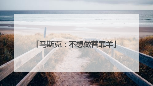 马斯克：不想做替罪羊