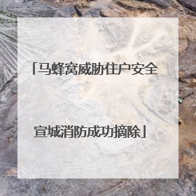 马蜂窝威胁住户安全 宣城消防成功摘除