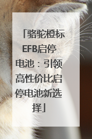 骆驼橙标EFB启停电池：引领高性价比启停电池新选择