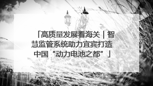 高质量发展看海关｜智慧监管系统助力宜宾打造中国“动力电池之都”