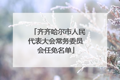 齐齐哈尔市人民代表大会常务委员会任免名单