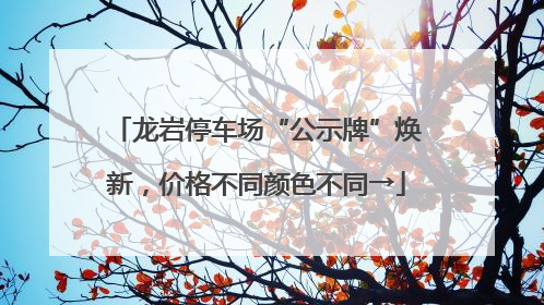 龙岩停车场“公示牌”焕新，价格不同颜色不同→