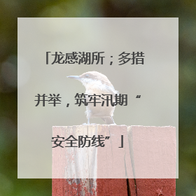 龙感湖所；多措并举，筑牢汛期“安全防线”