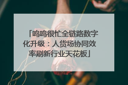 鸣鸣很忙全链路数字化升级：人货场协同效率刷新行业天花板