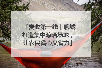 麦收第一线丨聊城打造集中晾晒场地，让农民省心又省力