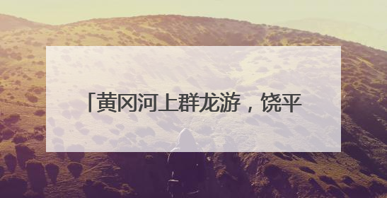 黄冈河上群龙游，饶平端午龙舟赛火热开桨