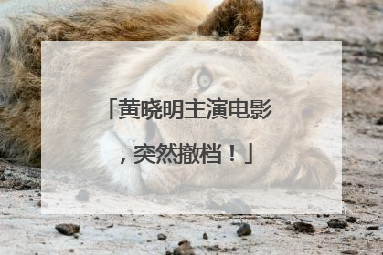 黄晓明主演电影，突然撤档！