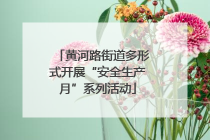 黄河路街道多形式开展“安全生产月”系列活动