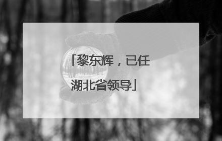 黎东辉，已任湖北省领导