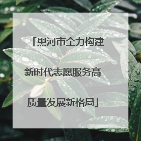 黑河市全力构建新时代志愿服务高质量发展新格局