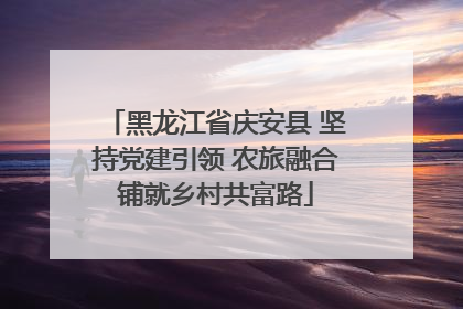 黑龙江省庆安县 坚持党建引领 农旅融合铺就乡村共富路
